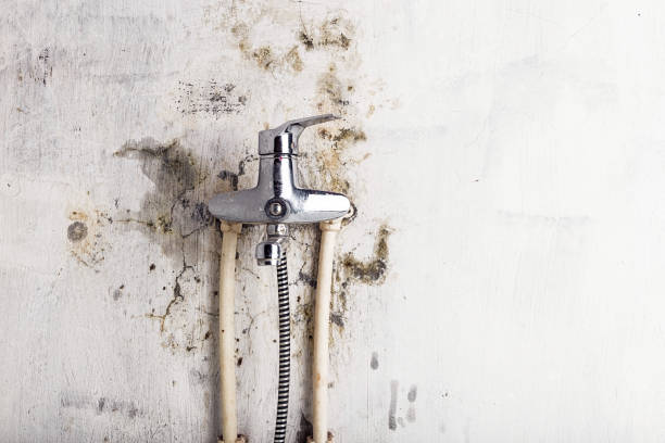 Hampton, VA Mold Remediation Company