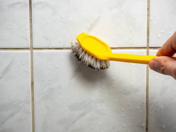 Best Localized Mold Remediation (e.g., coastal areas, humid climates) in Hampton, VA