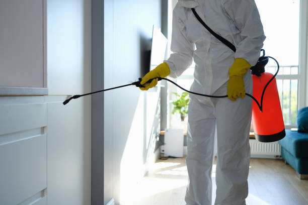 Best Commercial Mold Remediation in Hampton, VA
