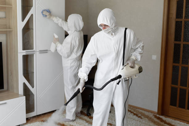 Best Emergency Mold Remediation in Hampton, VA